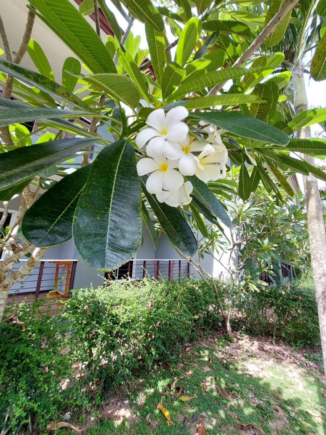 Sisina Resort Prachuap Khiri Khan Exterior photo